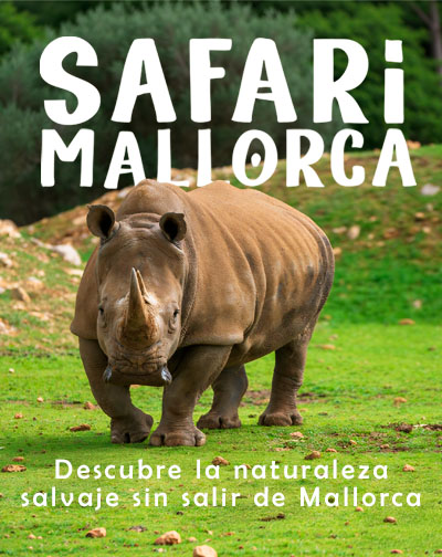 Safari Mallorca
